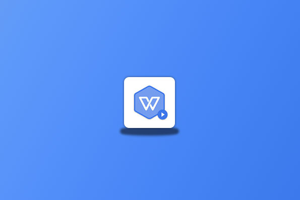 WPS Office v12.8.2.18205 2023专业增强版-念心小站