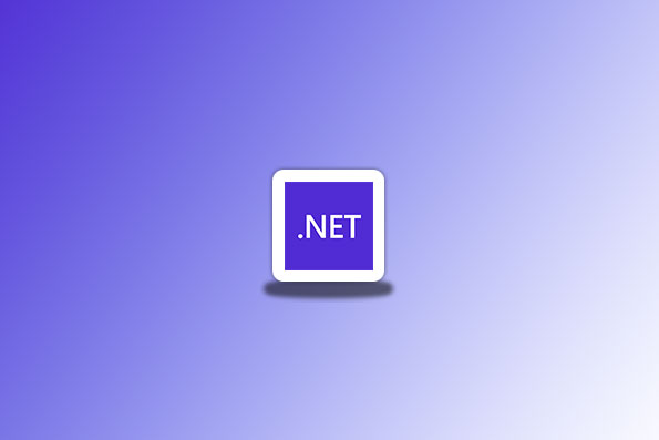 Microsoft .NET Framework 4.8.1 Runtime-念心小站